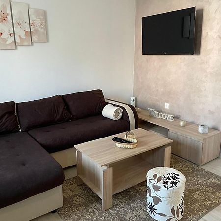 Apartmani Marija Zemun Zemun Polje エクステリア 写真