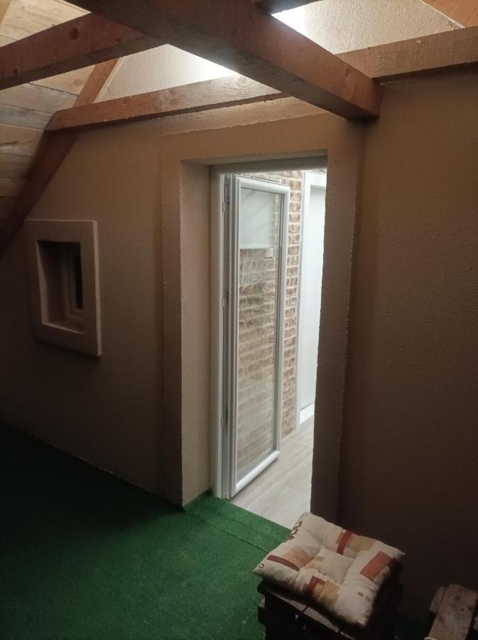 Apartmani Marija Zemun Zemun Polje エクステリア 写真