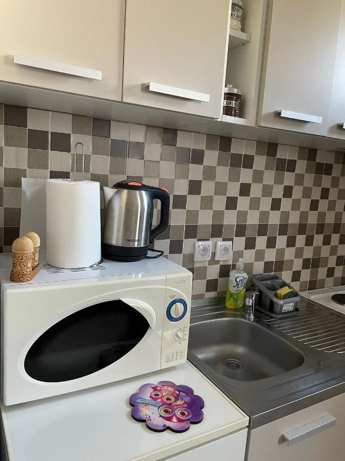 Apartmani Marija Zemun Zemun Polje エクステリア 写真