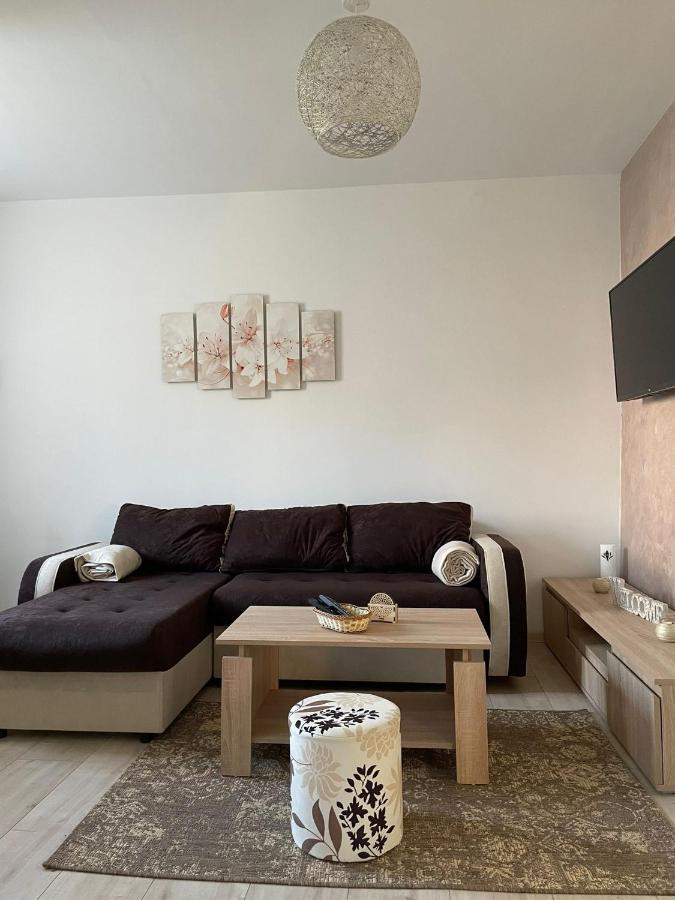 Apartmani Marija Zemun Zemun Polje エクステリア 写真