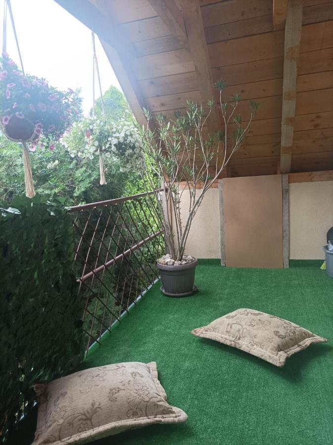 Apartmani Marija Zemun Zemun Polje エクステリア 写真