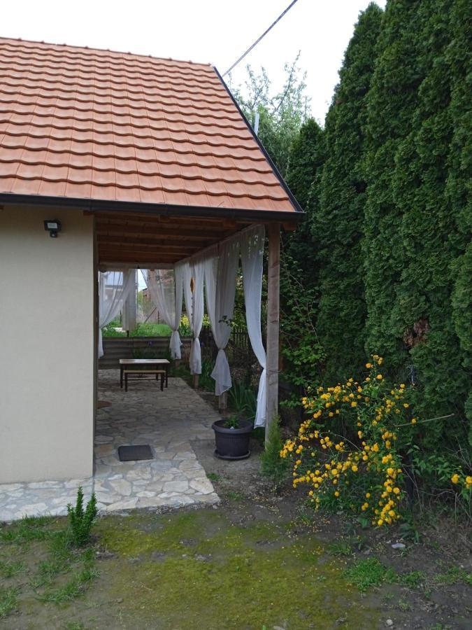 Apartmani Marija Zemun Zemun Polje エクステリア 写真