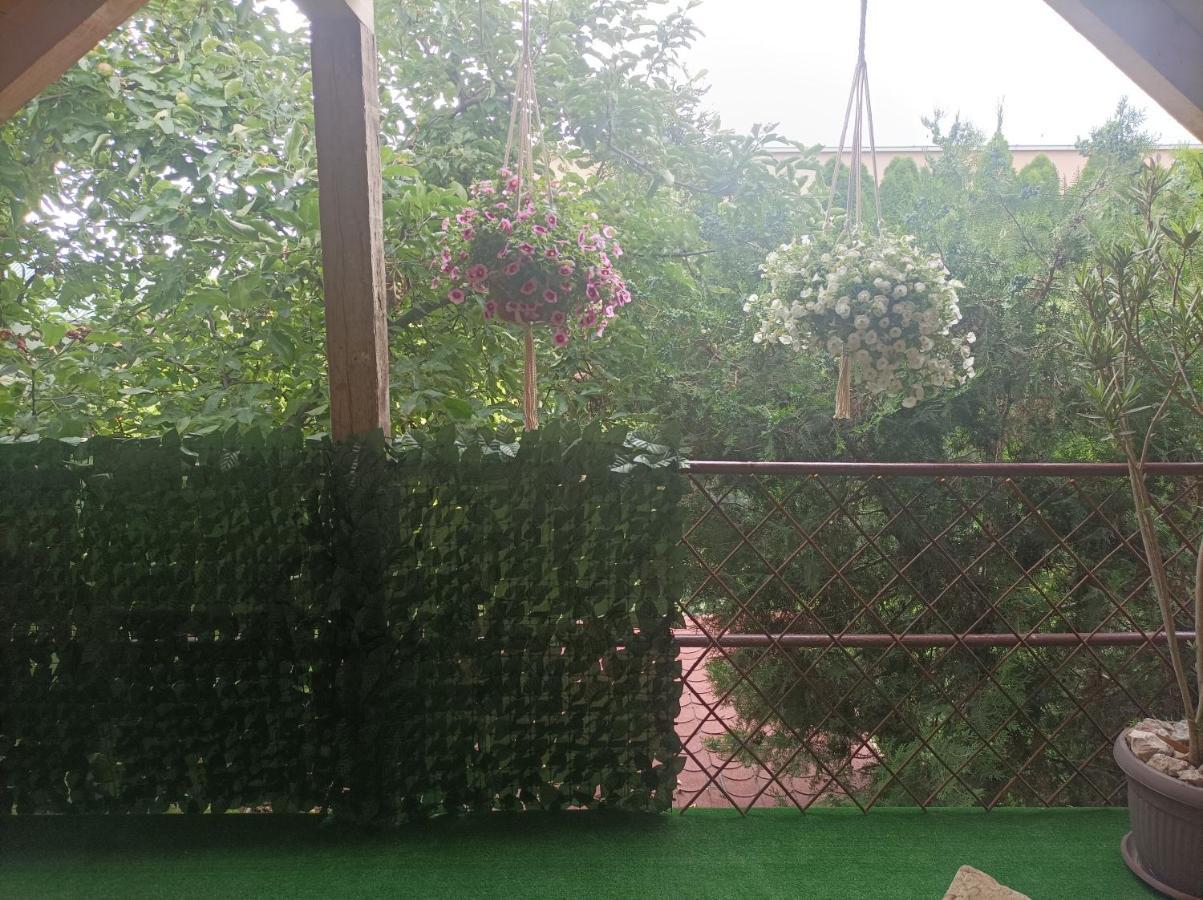 Apartmani Marija Zemun Zemun Polje エクステリア 写真
